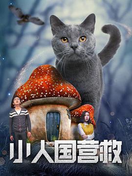 国产毛片毛片毛片