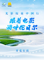 精品久久久久免费极品大片